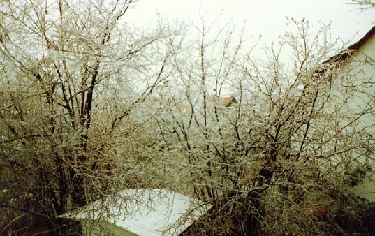 11 Eisregen1992_1.jpg